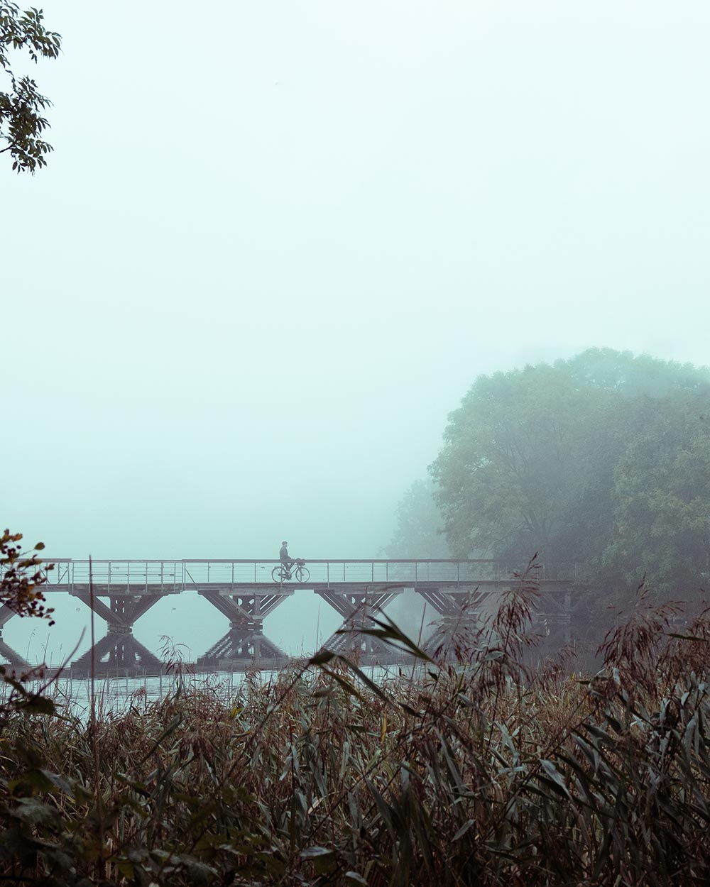 MorningCommuteWebsite-1